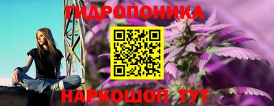 дмт Кунгур